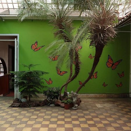 Casa Mayela Guest House San Jose  Eksteriør bilde